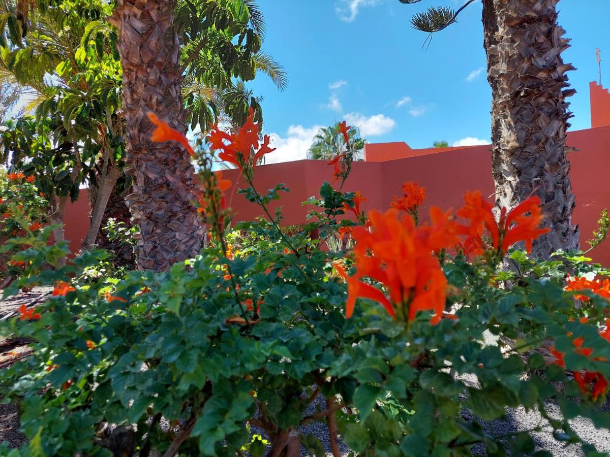 Sweet Home By Sea You There Fuerteventura Corralejo Exterior foto